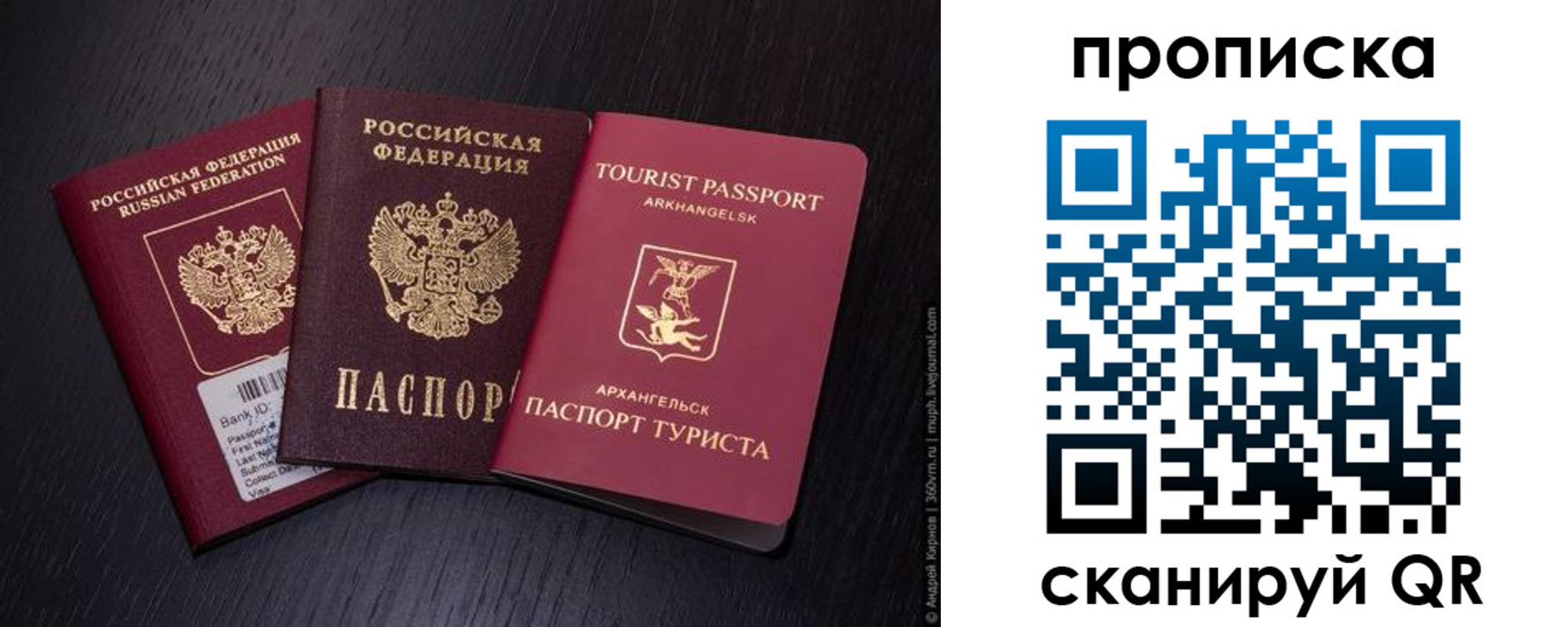 временная регистрация надежно в Калужской области